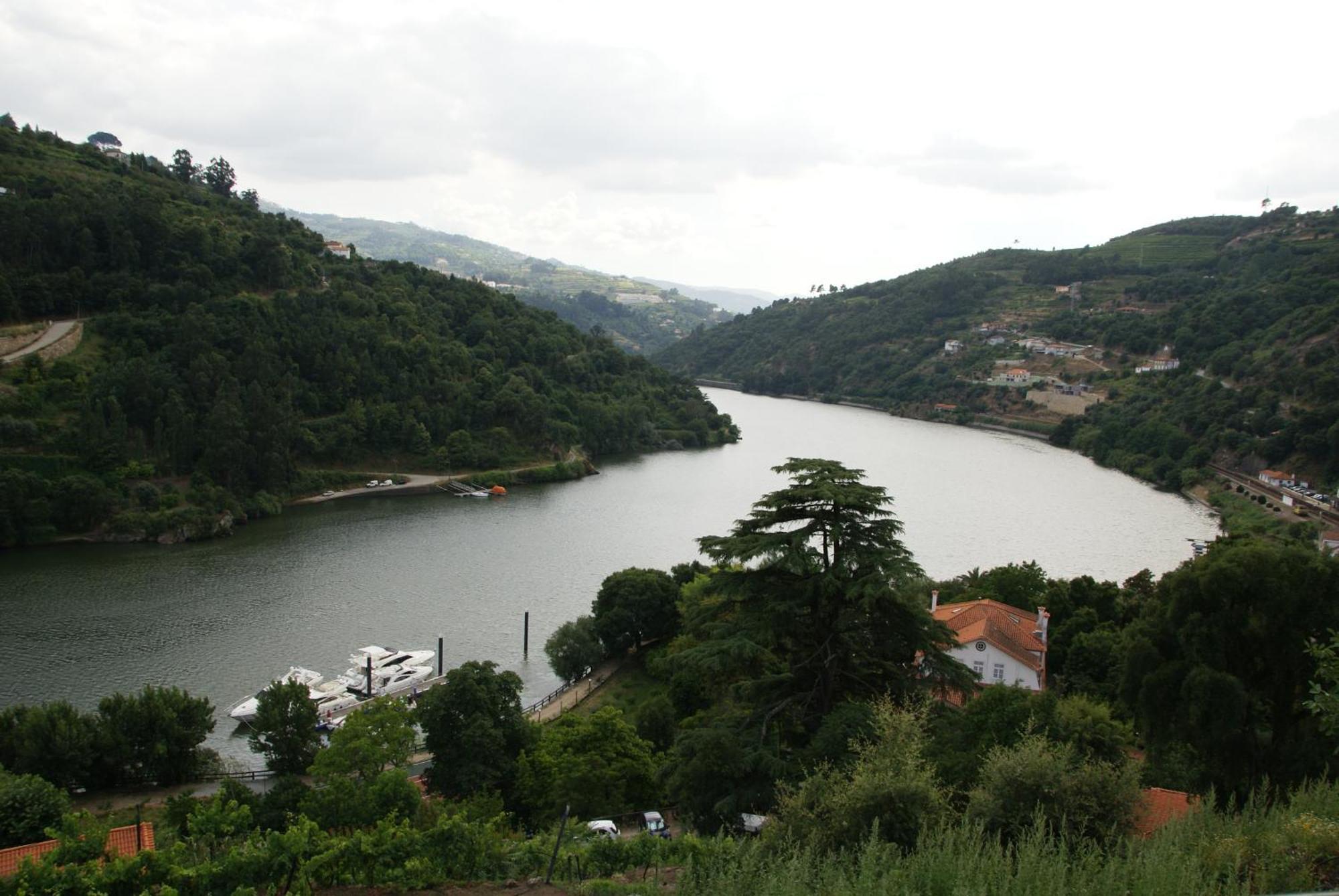 Bed and Breakfast Quinta Da Ermida - Turismo De Habitacao Baião Zewnętrze zdjęcie