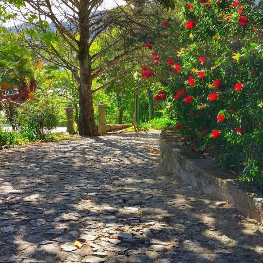 Bed and Breakfast Quinta Da Ermida - Turismo De Habitacao Baião Zewnętrze zdjęcie